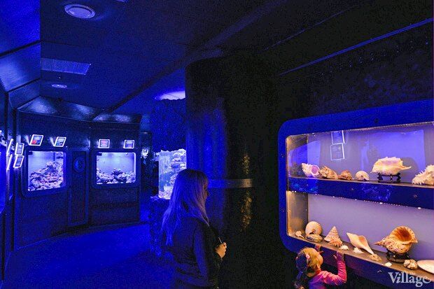 В киевском "Детском мире" начал работать океанариум