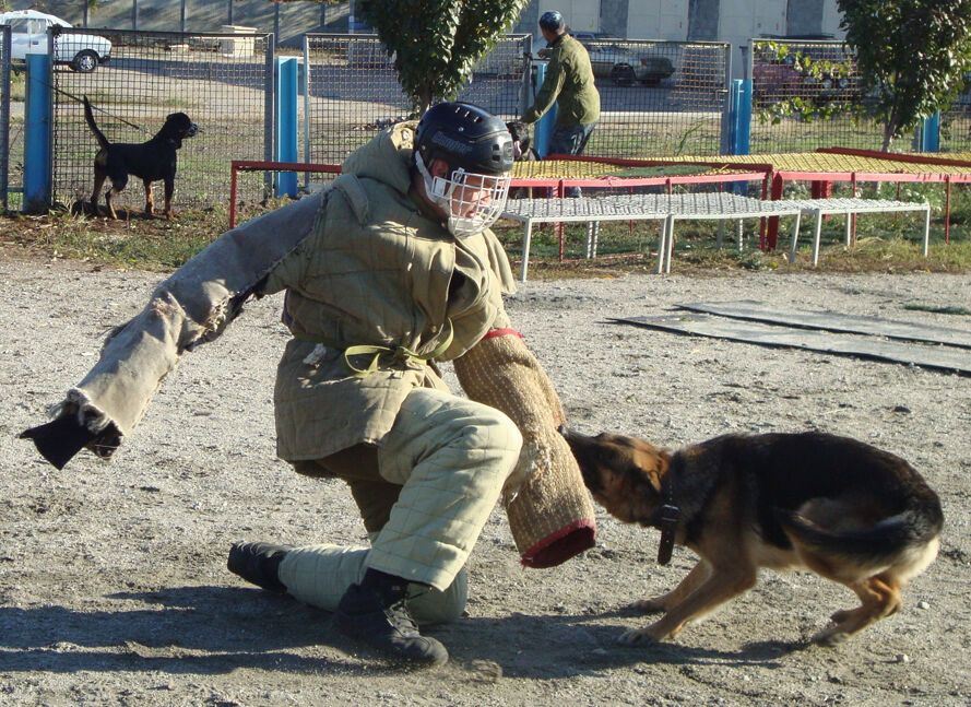 ЗМІ: міліціонер в Запоріжжі застрелився через сварку з дівчиною