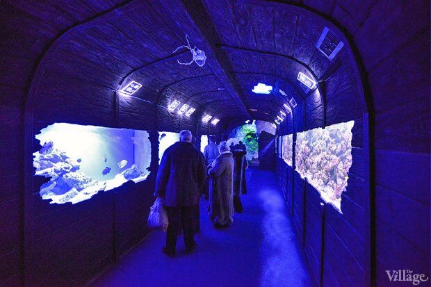 В киевском "Детском мире" начал работать океанариум