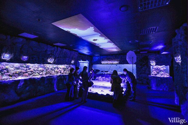 В киевском "Детском мире" начал работать океанариум