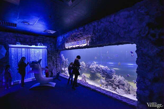В киевском "Детском мире" начал работать океанариум