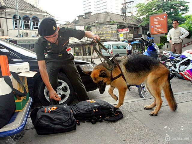 Отпуск за решеткой: истории туристов-заключенных