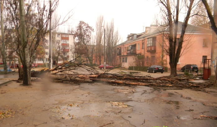 В Николаеве ураган ломал деревья и срывал крыши, 3 декабря 2012