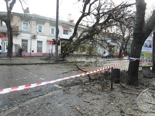 В Одессе ураган повалил деревья и оставил людей без света. Фото