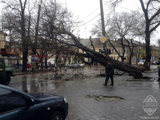 В Одессе ураган повалил деревья и оставил людей без света. Фото