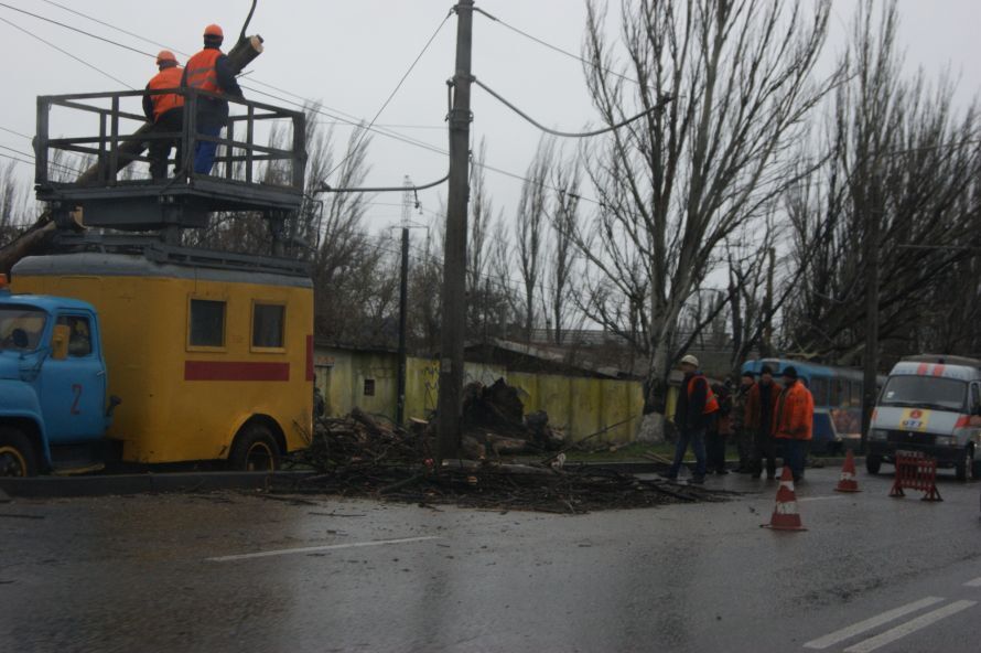 В Одессе ураган повалил деревья и оставил людей без света. Фото