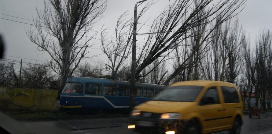В Одессе ураган повалил деревья и оставил людей без света. Фото
