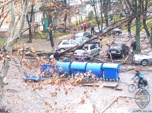 В Одесі ураган повалив дерева і залишив людей без світла. Фото