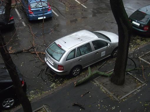 В Одесі ураган повалив дерева і залишив людей без світла. Фото