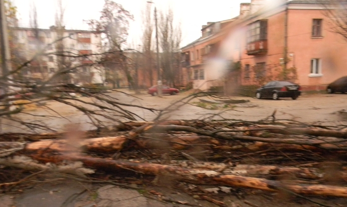 У Миколаєві буревій ламав дерева і зривав дахи, 3 грудня 2012