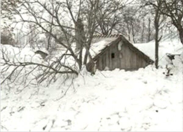 Румыния ушла под снег. Фото. Видео