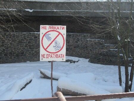 ЧП в зоопарке: стали известны причины нападения тигра 