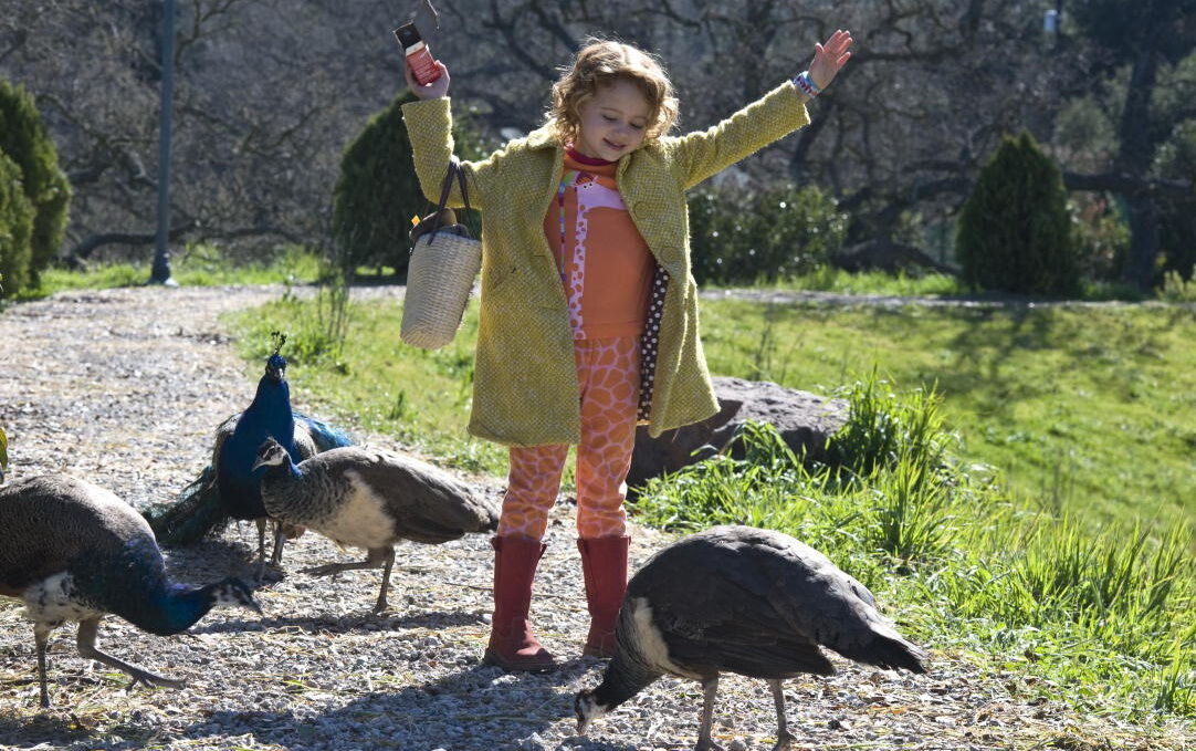 Мы купили зоопарк