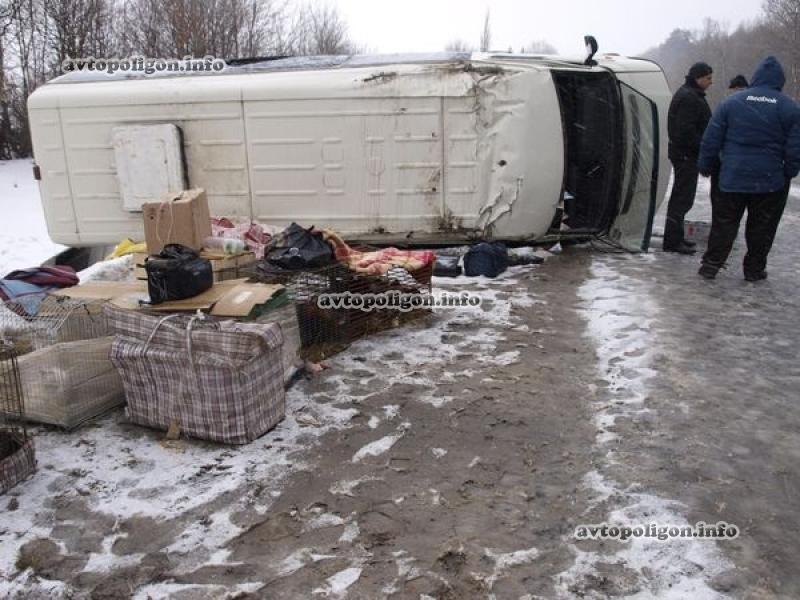 Зоо-ДТП на Тернопольщине: перевернулся автобус с павлинами. Фото   