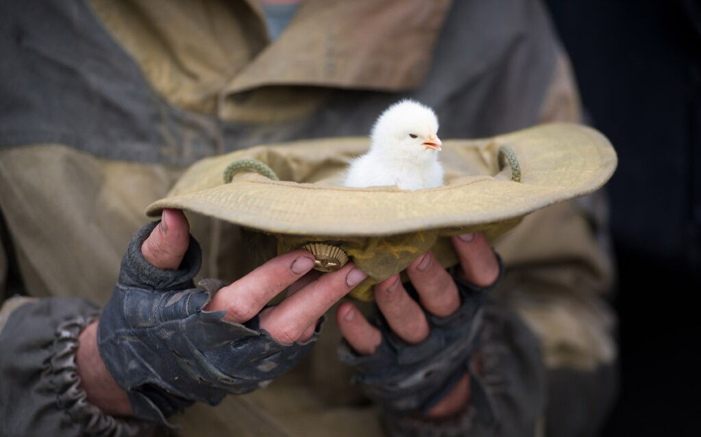 Август. Восьмого