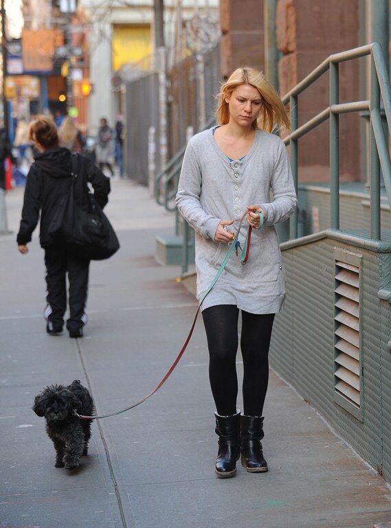 Дэйнс выгуливает собаку. Фото