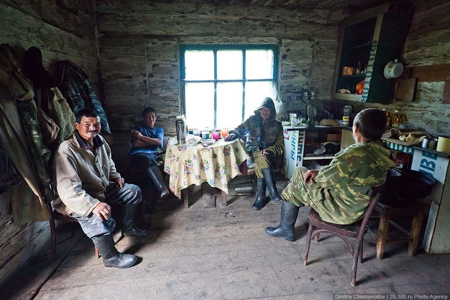 Алтай: Дорога к пчелам за 4 млрд рублей