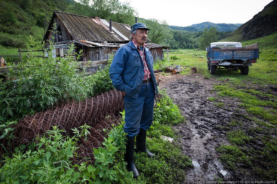 Алтай: Дорога к пчелам за 4 млрд рублей