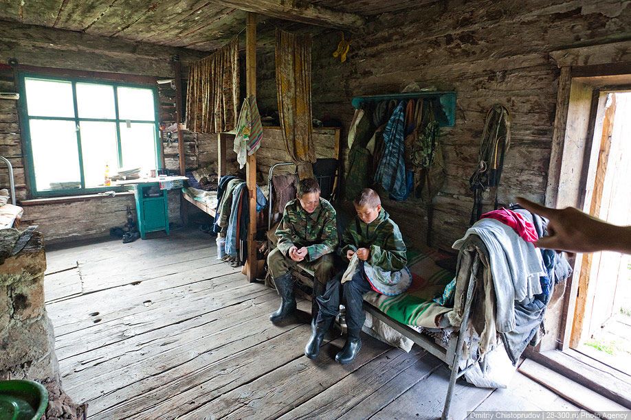 Алтай: Дорога к пчелам за 4 млрд рублей