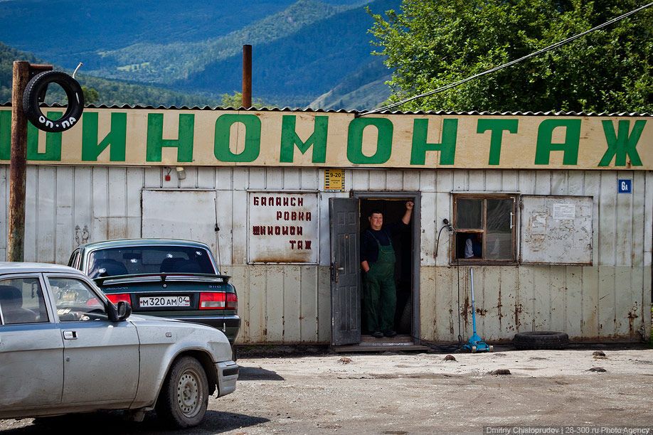 Алтай: Дорога к пчелам за 4 млрд рублей
