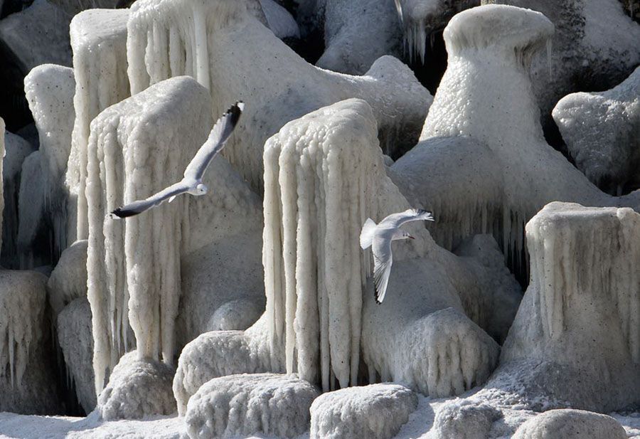 Черное море замерзло: Фото