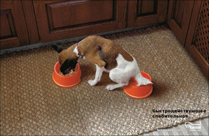 Составлен Топ-50 самых креативных реклам. Фото, перевод 