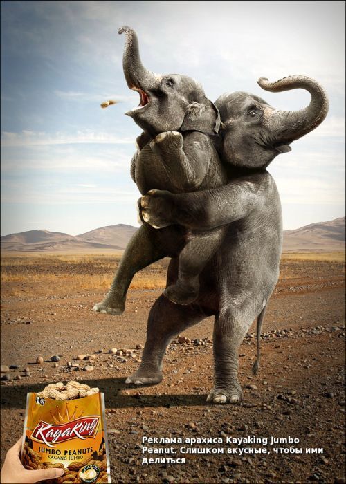 Составлен Топ-50 самых креативных реклам. Фото, перевод 