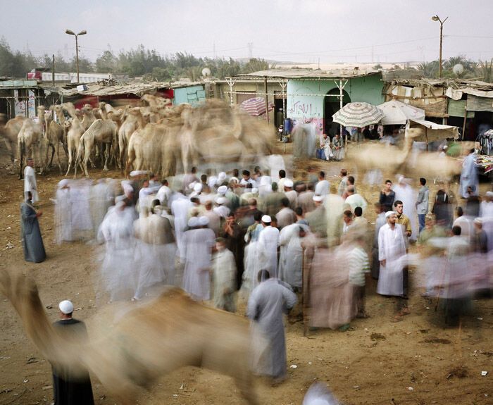 Суматоха больших городов