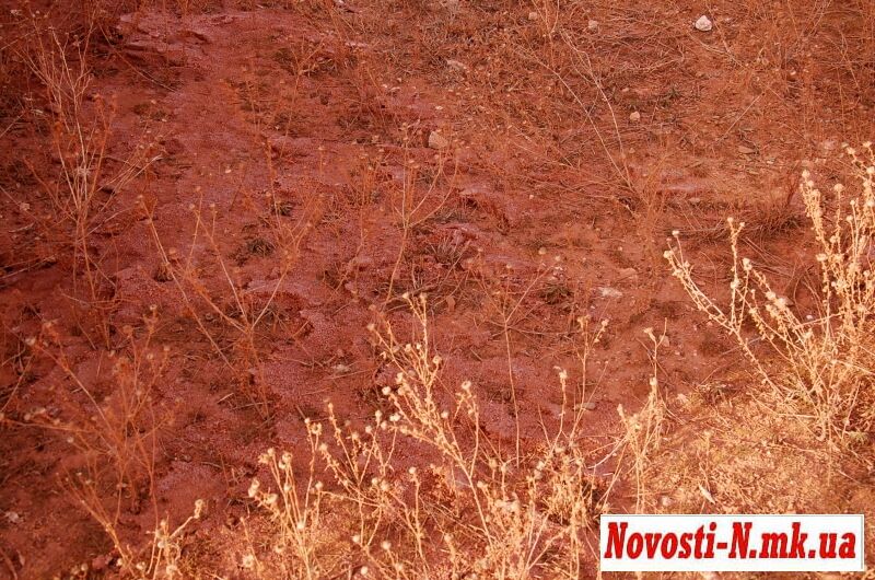 В Николаеве произошла экологическая катастрофа: все накрыло красным шламом