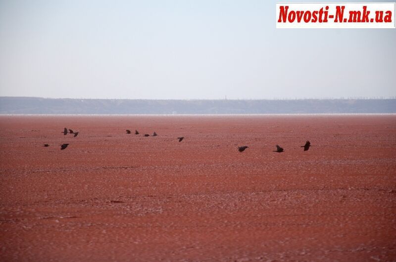 В Николаеве произошла экологическая катастрофа: все накрыло красным шламом