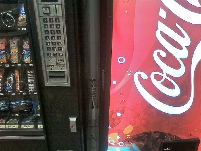 Составлен Топ-30 фотографий на внимательность. Фото  