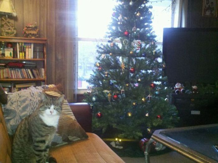 Составлен Топ-30 фотографий на внимательность. Фото  