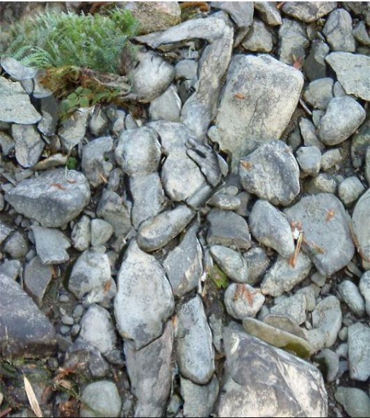 Составлен Топ-30 фотографий на внимательность. Фото  