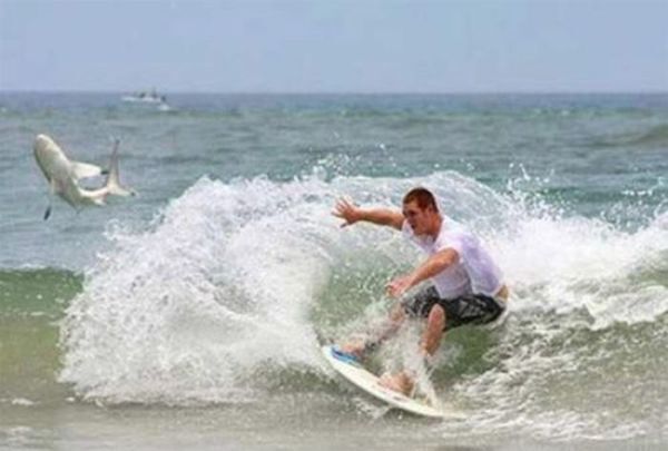 Лучшие фото, снятые в нужный момент. Фото 