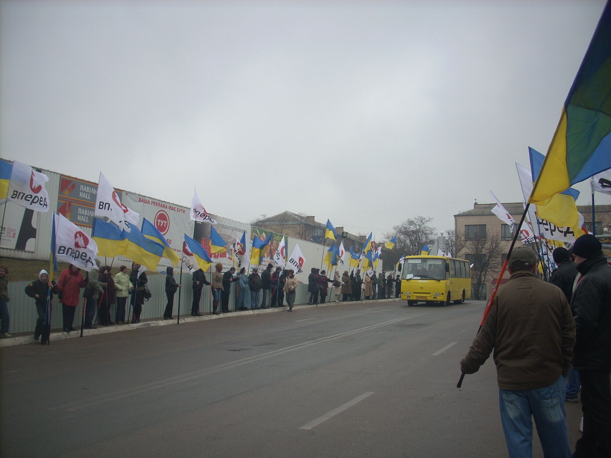 Королевская возглавила партию «Україна - вперед!»