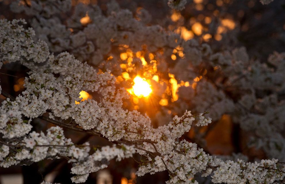 Первые дни весны 2012