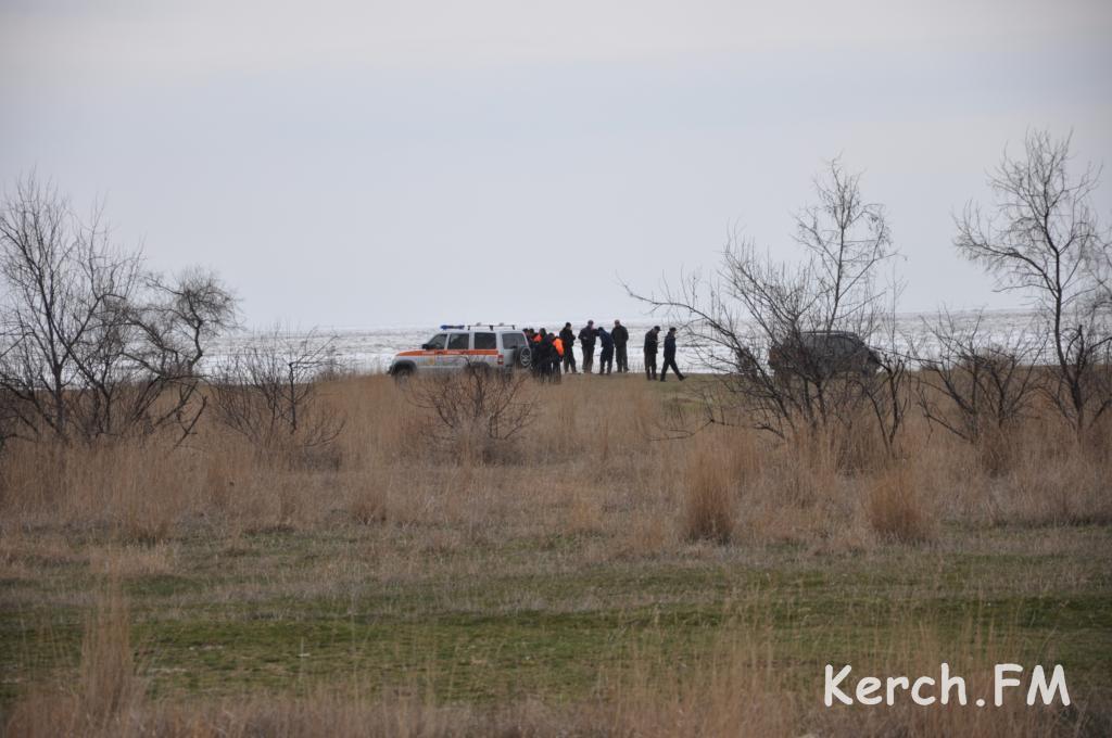 У Криму близько 100 дельфінів застрягли у крижаному полоні