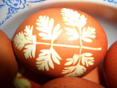 Красим яйца фиалками, куркумой и шпинатом. Фото