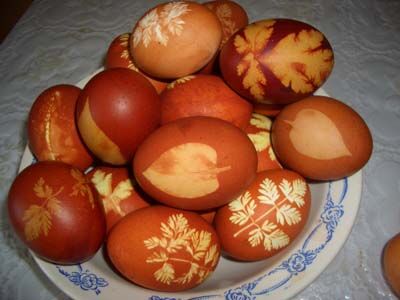 Красим яйца фиалками, куркумой и шпинатом. Фото