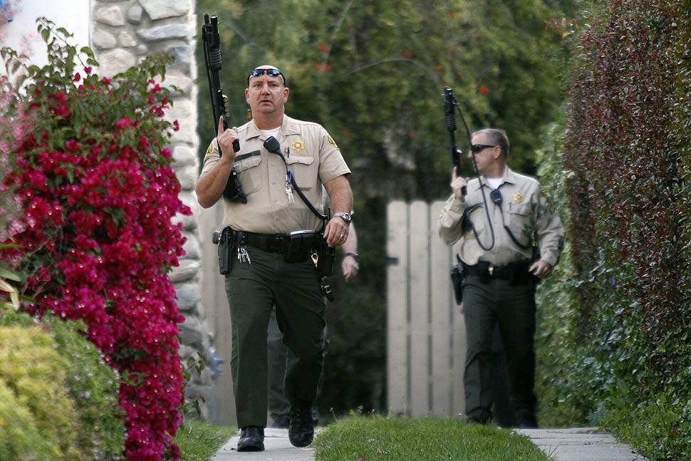 По Лос-Анджелесу бродить ведмідь