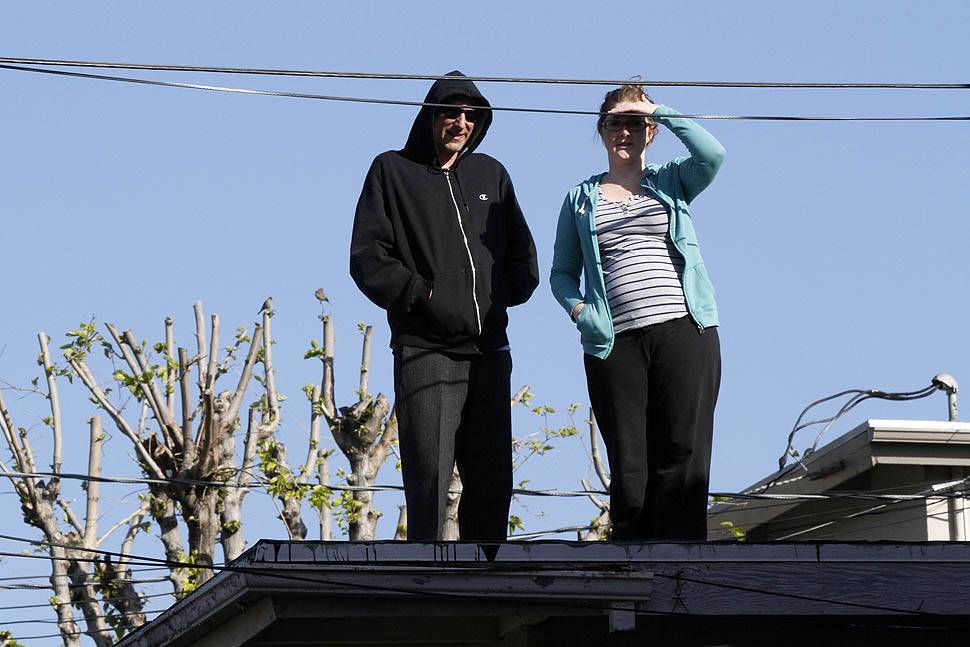 По Лос-Анджелесу бродить ведмідь