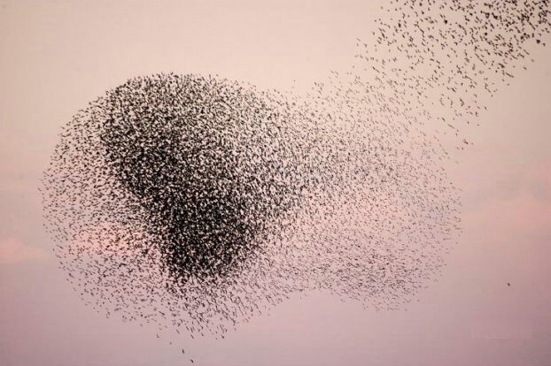 8 дивовижних явищ природи