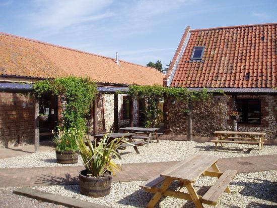 Бюджетні еко-подорожі: 10 екологічних і економічних хостелів