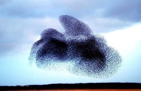 8 дивовижних явищ природи