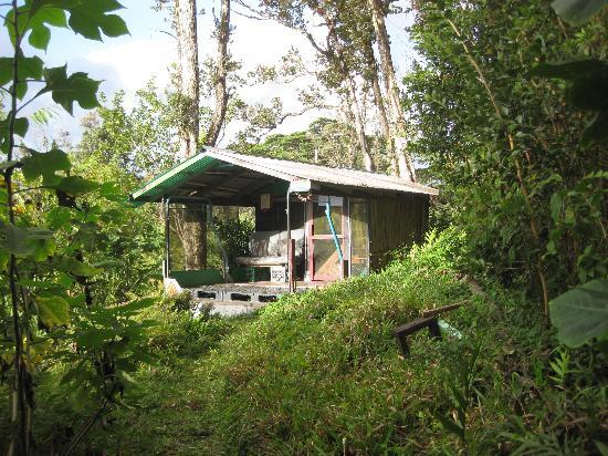 Бюджетні еко-подорожі: 10 екологічних і економічних хостелів