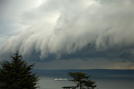 8 дивовижних явищ природи