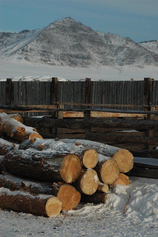 Бюджетні еко-подорожі: 10 екологічних і економічних хостелів