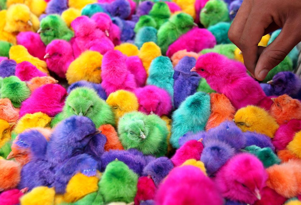 Страсна Седмиця і Великдень 2012