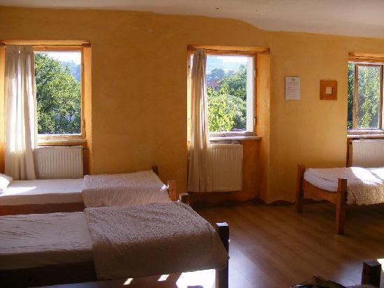 Бюджетні еко-подорожі: 10 екологічних і економічних хостелів