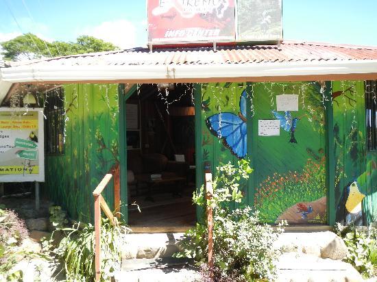 Бюджетні еко-подорожі: 10 екологічних і економічних хостелів